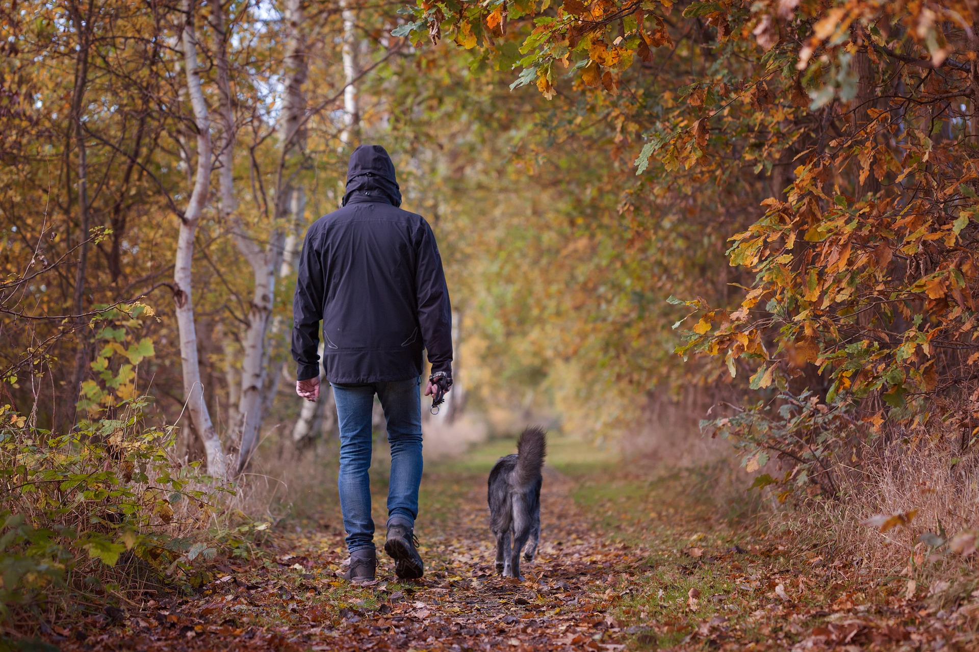 Herbstspaziergang mit Hund
