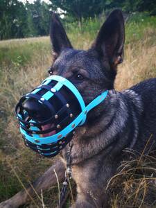 Schäferhund mit einem Biothane Maulkorb von a-band handmade dogware